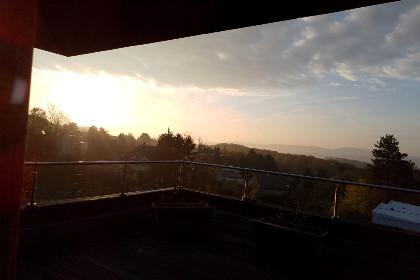 011 Im Wienerwald