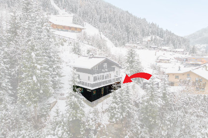 041 Hutte Taube