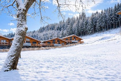 025 Chalet Gipfel Lodge Alpine Style
