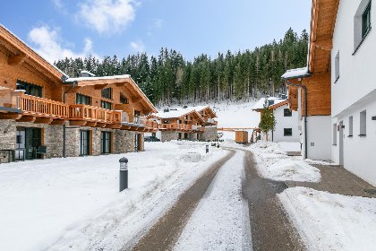 060 Tauernlodge Eben A2