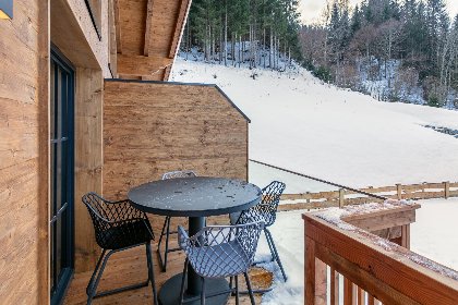 039 Tauernlodge Eben D3