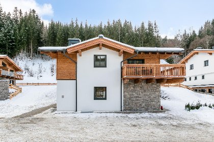 050 Tauernlodge Eben D3