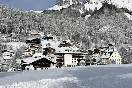 007 Bergwiesen
