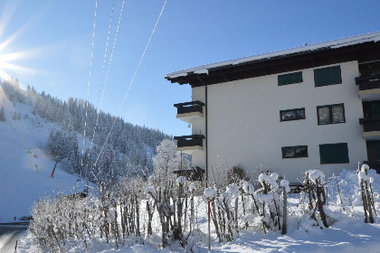 035 My Mountain next door