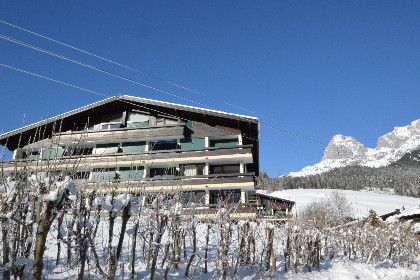 038 My Mountain next door