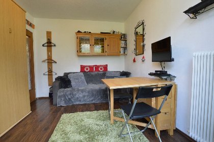 001 Sonnleiten View