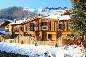 Kaprun Lodge   R