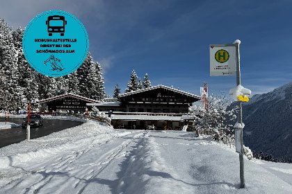 008 Schonmoos Alpine Lodge S