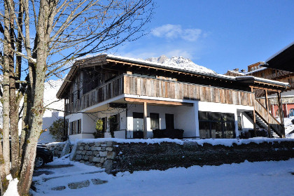 019 Schneeglockchen
