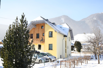 017 Alpensteinbock Mauterndorf I