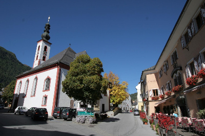 019 Alpensteinbock Mauterndorf I