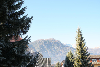 019 Alpensteinbock Mauterndorf II