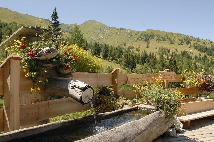 023 Ski Nature Apartment Lungau Top 1