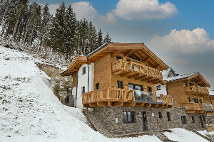 Alpen Villa Danica