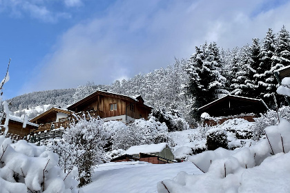 Oostenrijk, Salzburgerland, Piesendorf