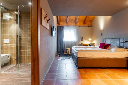 033 Tauern Suites Mitterwirt Kombi Penthouse