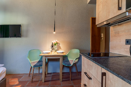 009 Tauern Suites Mitterwirt TOP 121
