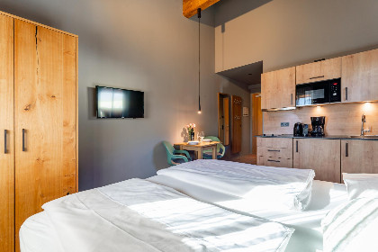 014 Tauern Suites Mitterwirt TOP 121