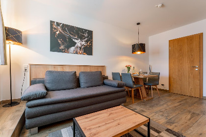 001 Tauern Suites Mitterwirt TOP 125
