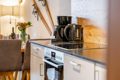 016 Tauern Suites Mitterwirt TOP 201