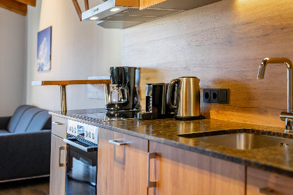 013 Tauern Suites Mitterwirt TOP 221