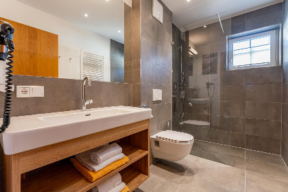 017 Tauern Suites Mitterwirt TOP 221