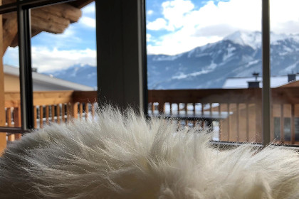 010 Tauern Suites Mitterwirt TOP 321