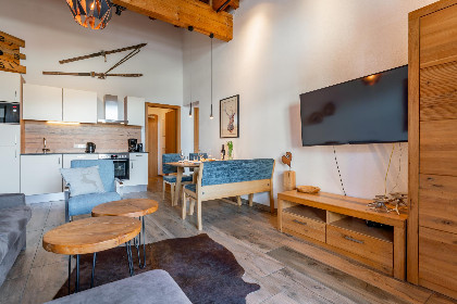 018 Tauern Suites Mitterwirt TOP 323