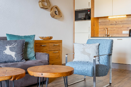 021 Tauern Suites Mitterwirt TOP 323