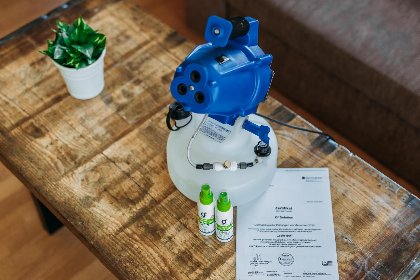 009 Goldhanchen 009 Goldhanchen