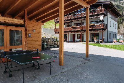 010 Goldhanchen 010 Goldhanchen