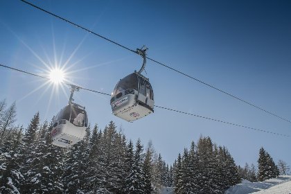 024 Goldhanchen 024 Goldhanchen