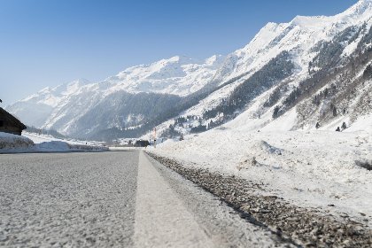 026 Goldhanchen 026 Goldhanchen