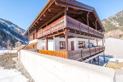 028 Goldhanchen 028 Goldhanchen