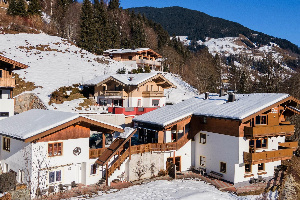 Alpensteinbock Saalbach A