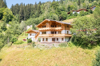 018 Alpensteinbock Saalbach A