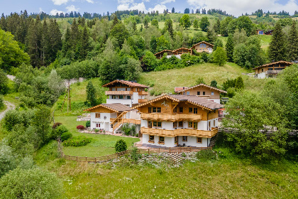 019 Alpensteinbock Saalbach A