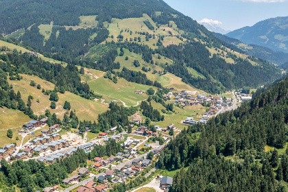 020 Alpensteinbock Saalbach A