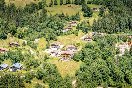 022 Alpensteinbock Saalbach A