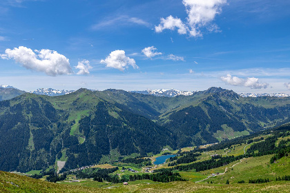 018 Alpensteinbock Saalbach B