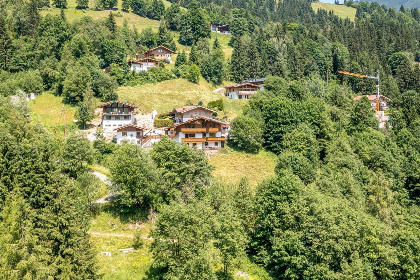 019 Alpensteinbock Saalbach B