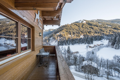 012 Alpensteinbock Saalbach C