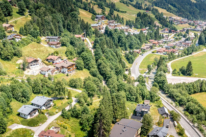 024 Alpensteinbock Saalbach C