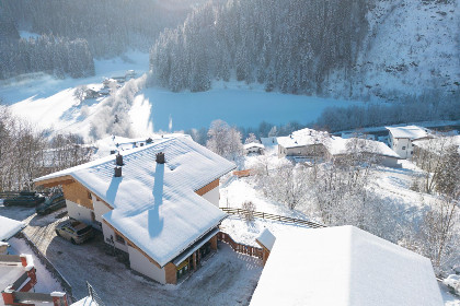 021 Alpensteinbock Saalbach D