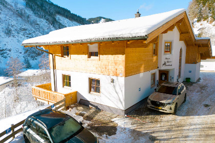 022 Alpensteinbock Saalbach D