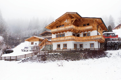023 Alpensteinbock Saalbach D