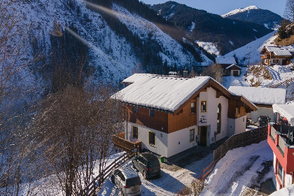 003 Alpensteinbock Saalbach L