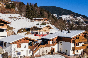 Alpensteinbock Saalbach