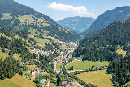 018 Alpensteinbock Saalbach