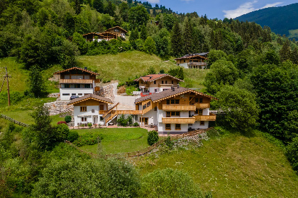 019 Alpensteinbock Saalbach